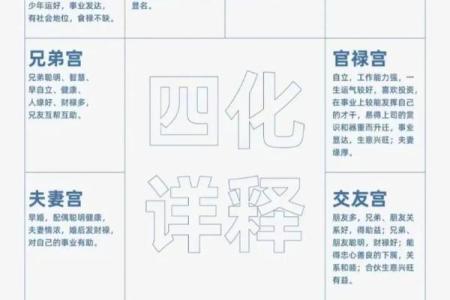 紫薇斗数与八字优缺点