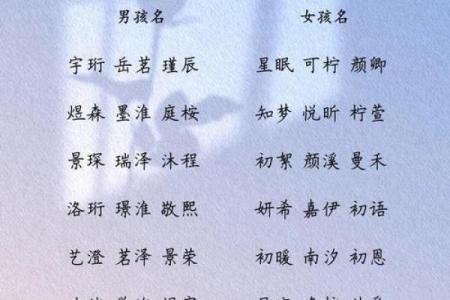 纪姓女孩名字大全-纪姓女孩起名字大全-纪姓名字大全姓名