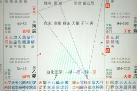 紫微斗数：廉贞星