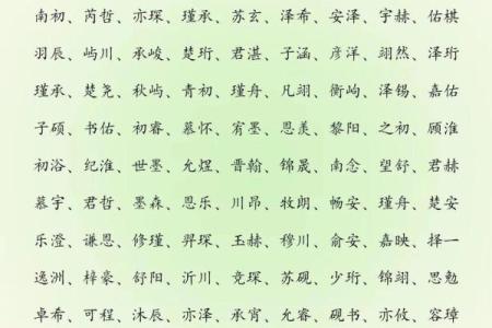 2019年4月9号子时出生的男孩要怎么起名字姓名