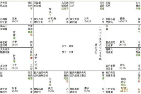 紫薇斗数查询今日运势
