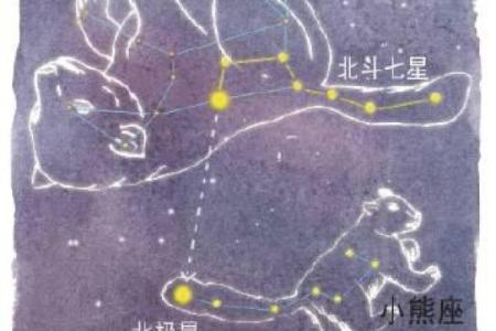 小熊星座性格特点及配对解析，最全面的小熊座分析