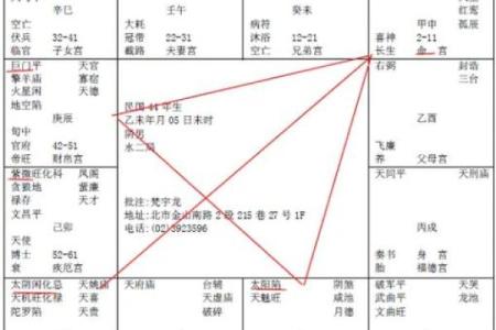 倪师紫薇斗数