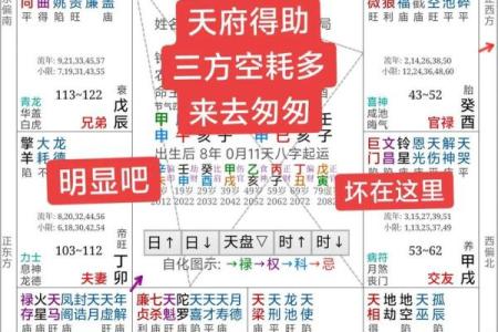 倪海厦紫薇斗数在线排盘