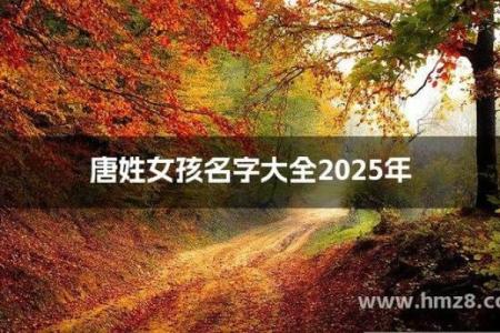 唐姓男孩名字大全-唐姓男孩起名字大全-唐姓名字大全姓名