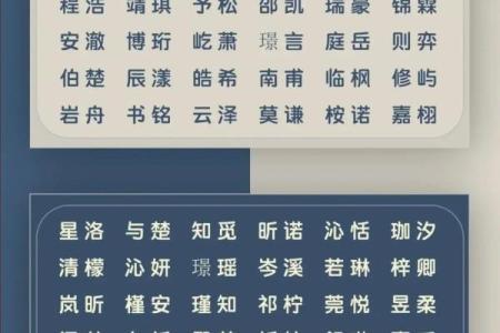 2019年4月11号丑时出生的男孩起名方法姓名