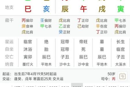 乙亥日八字