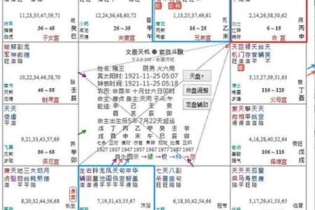 家境好的紫薇斗数