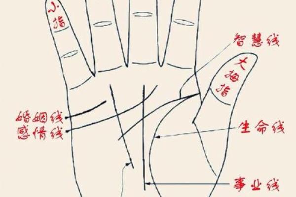 算命的老头看手相吗