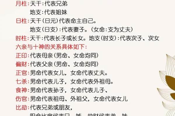 八字算学业学历高低，命理八字看学业看考试状况　八字预测学历