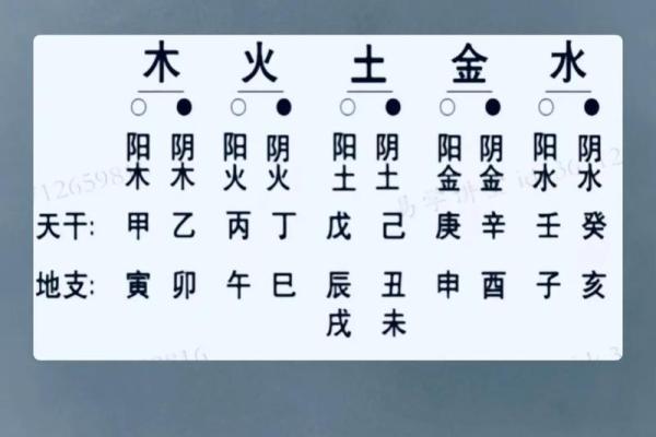 地支八字