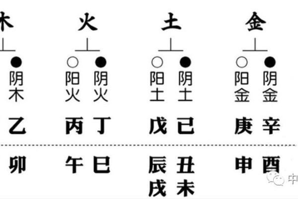 地支八字