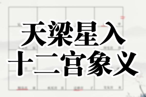 紫微斗数之子女宫与诸星，天梁星在子女宫是什么意思？