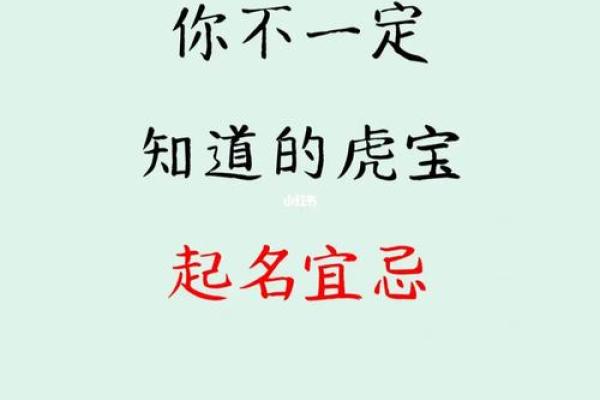 早上出生的属虎男孩如何起名，宜用什么字姓名