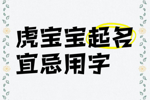 早上出生的属虎男孩如何起名，宜用什么字姓名