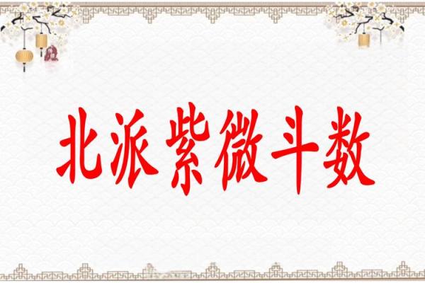 南北派紫薇斗数