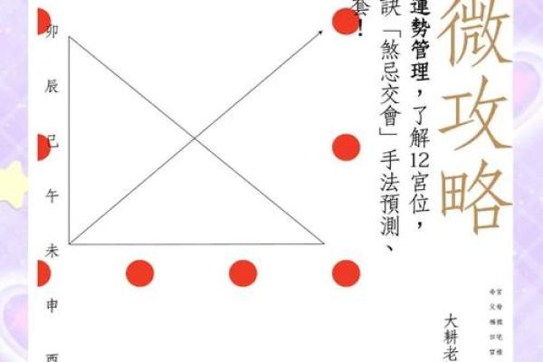紫薇斗数看人生txt的简单介绍