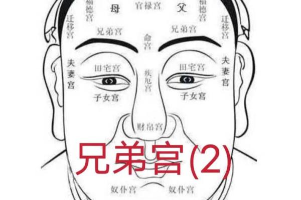 面相：眉形与命运，眉有断痕为什么不好？眉顺为好相，眉毛散乱多忧愁，八字眉个性随和