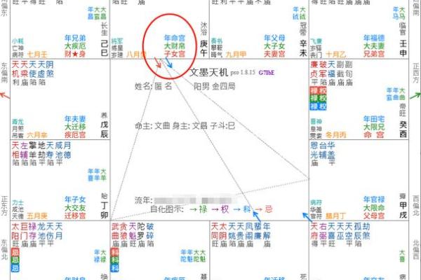 紫薇斗数各宫化