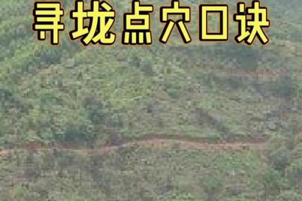 常见风水阴宅