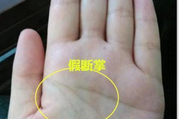 称骨算命解析：命重五两二钱，解锁你的事业、财运与婚姻！