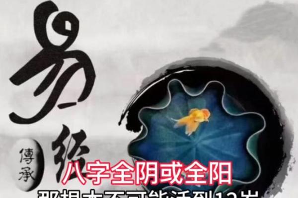 八字阳多