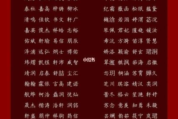 2019年6月11号子时出生的男孩如何起名姓名