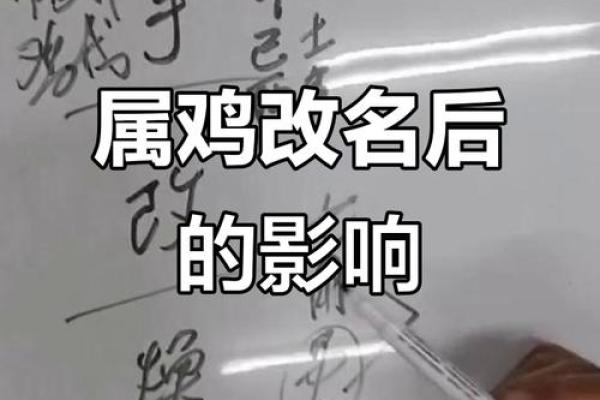 上午10点出生的属鸡男孩应该起什么名字姓名