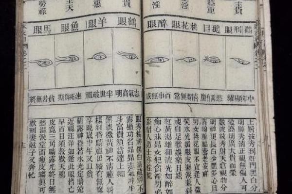 最经典的算命的书推荐