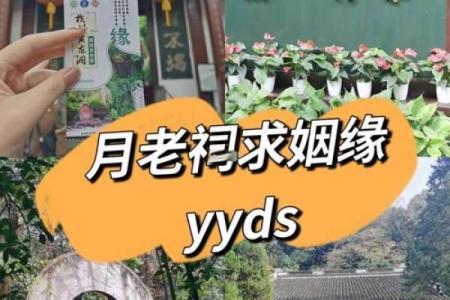 月老灵签姻缘12签解签 月老灵签姻缘签第二签白话解释？