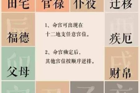 紫微斗数诸星落诸宫之：贪狼星官禄宫详解