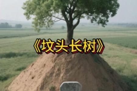 风水上祖坟上长树意味着什么