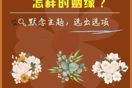 月老姻缘歌曲 月老姻缘的句子？