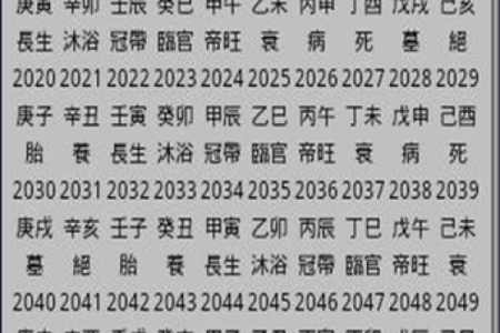 八字排盘宝免费版