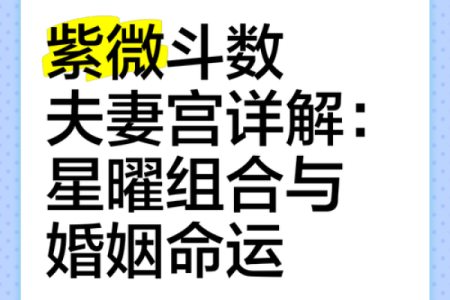 紫薇斗数看什么样的男女会结婚