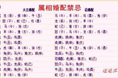 属兔和什么属相最配对 属兔和什么属相相冲