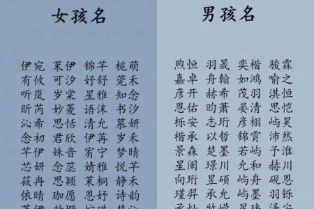教你给属鸡酉时出生的男孩起名的实用技巧姓名