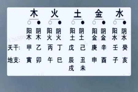 地支八字