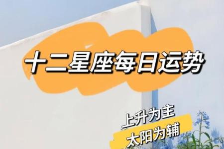 十二星座一天运势最准
