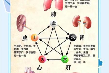 自己如何给自己算命