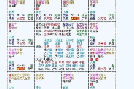 紫薇斗数养母养大