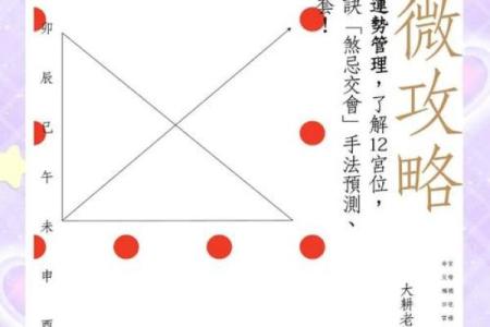 紫薇斗数看人生txt的简单介绍