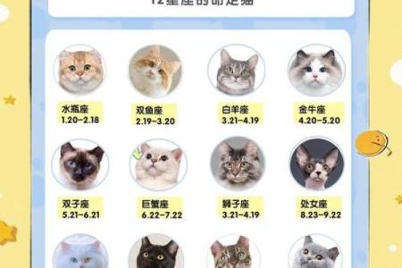 最狠的橘猫星座是哪个