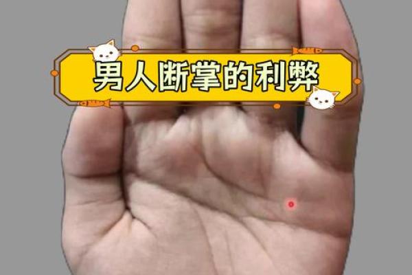 手相假断掌算命图解