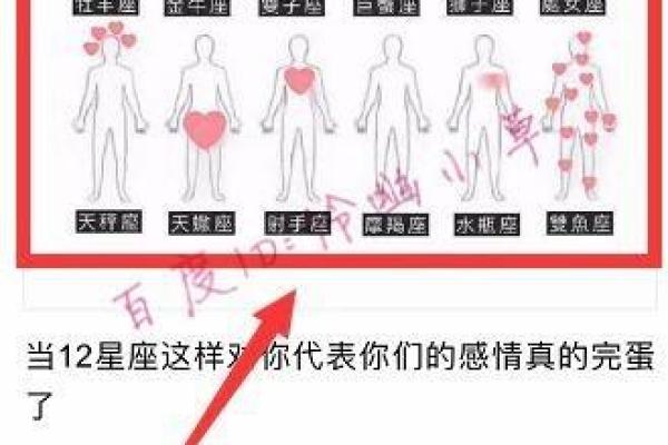十二星座篮球适合的位置