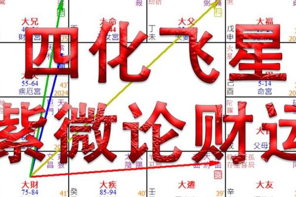 紫薇斗数大财禄
