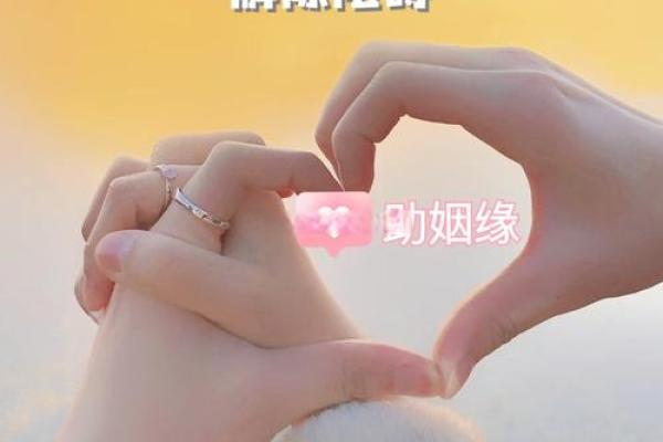 复合的八字