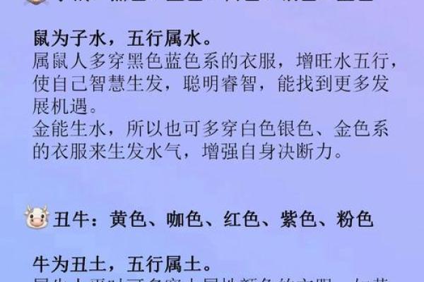早上9点出生的属鼠男孩要如何起名姓名