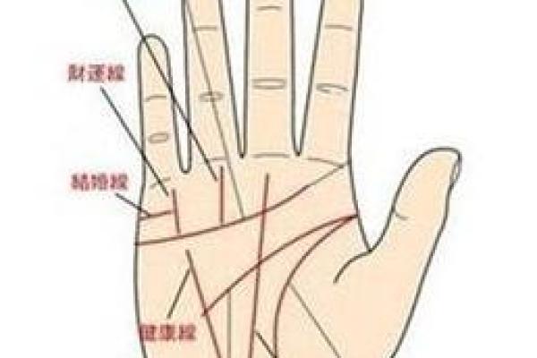 算命看手相算命图解 女性子女线