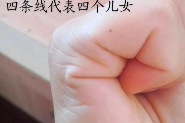 算命看手相算命图解 女性子女线
